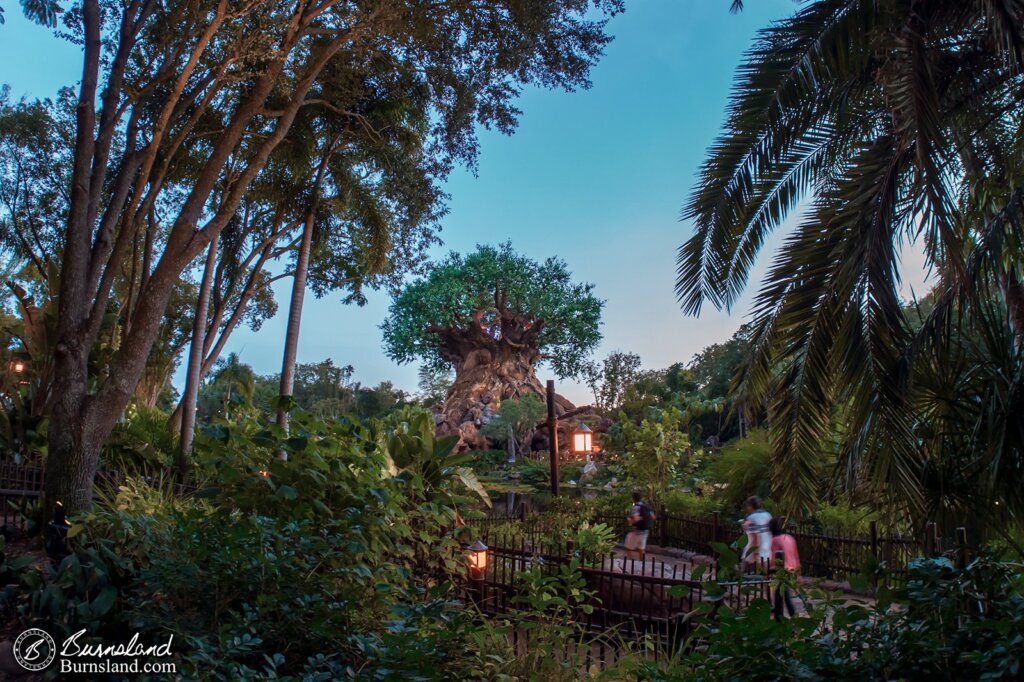 Tree of Life at Disney’s Animal Kingdom in the evening