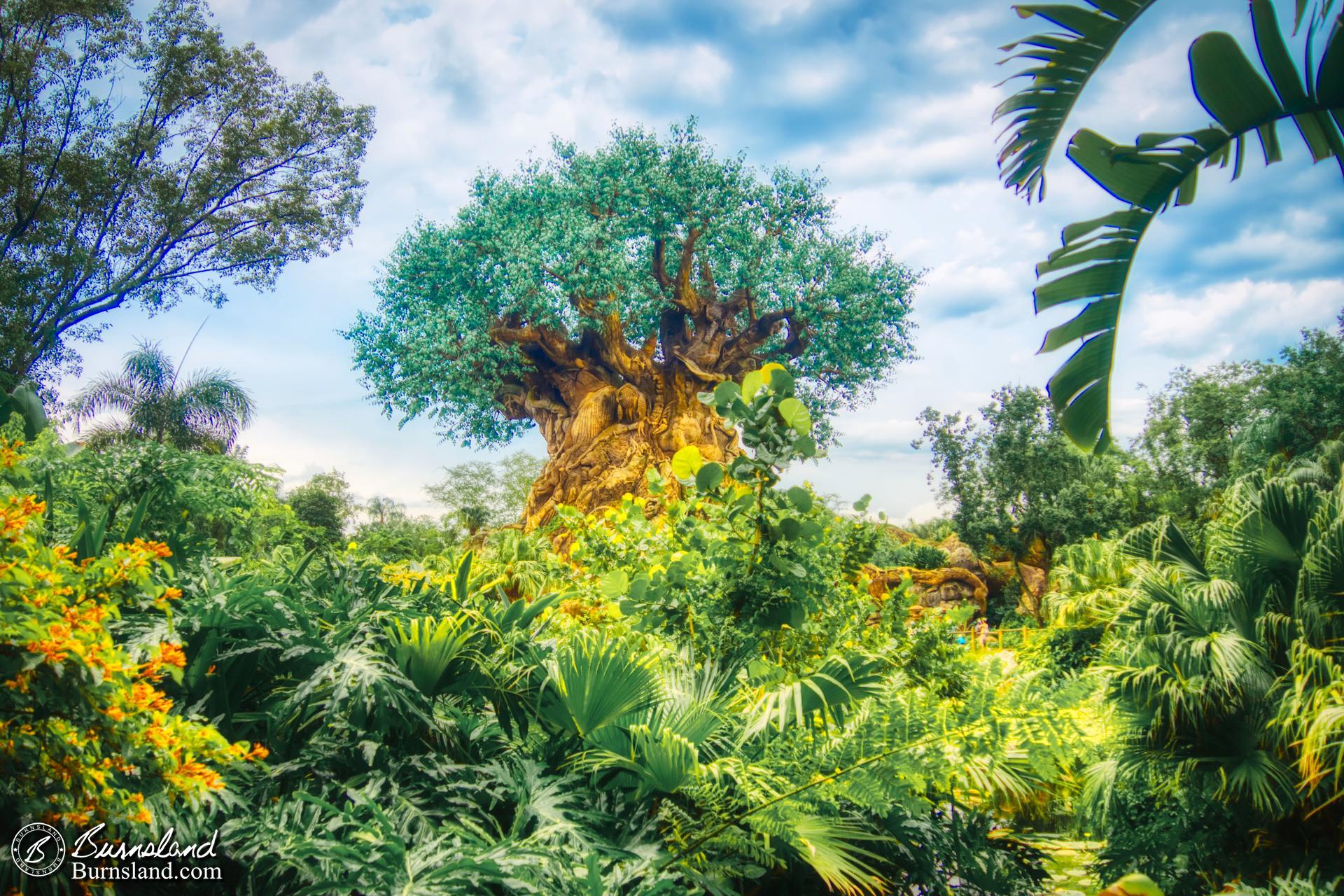 The Tree of Life rises above the foliage in Disney’s Animal Kingdom at Walt Disney World, as seen during our 2018 Florida Trip.