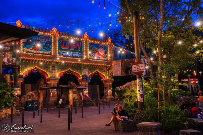 Lights at night fill the area around UP! A Great Bird Adventure in Disney’s Animal Kingdom at Walt Disney World