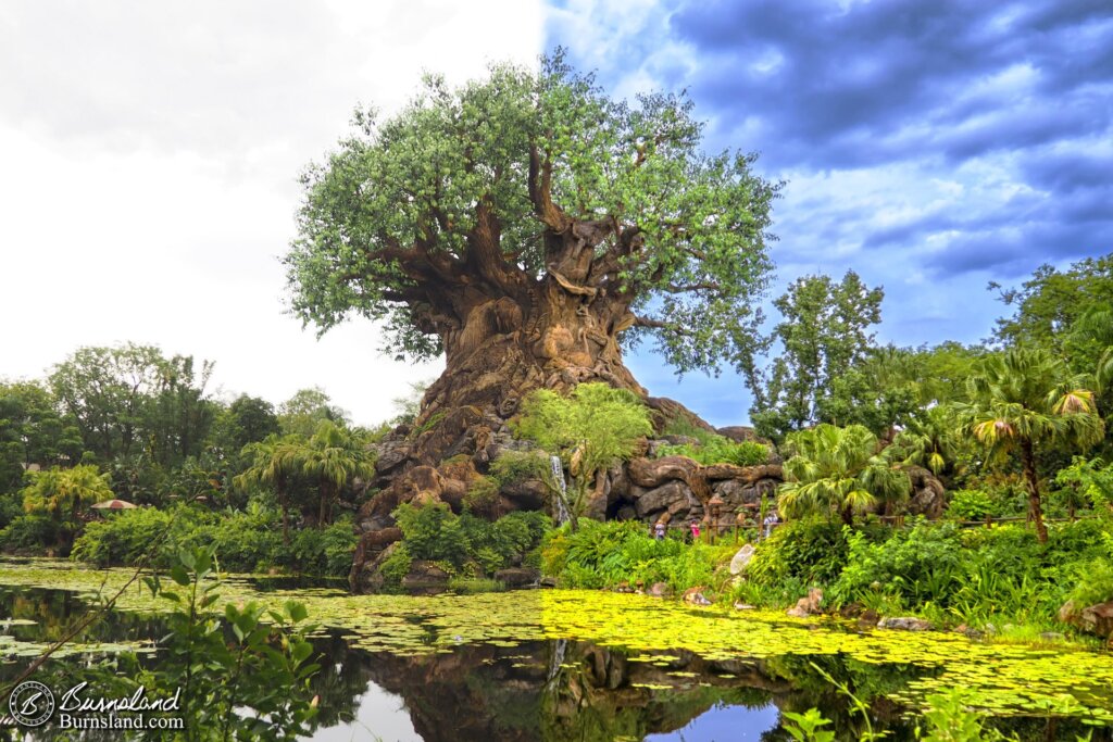 Tree of Life at Disney’s Animal Kingdom - before and after processing