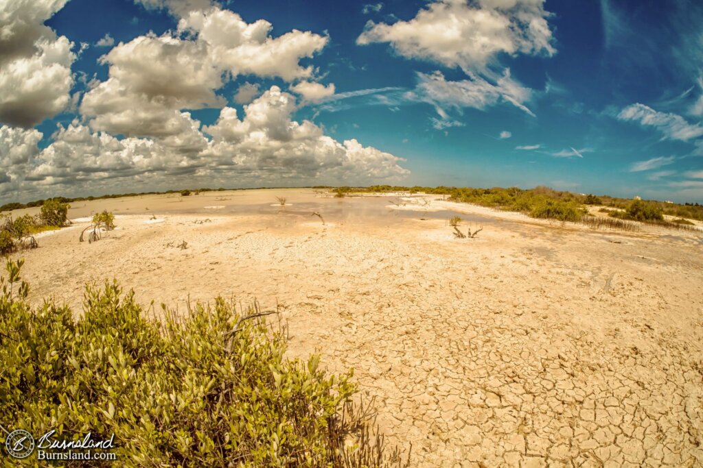 Visiting a Yucatan Salt Flat