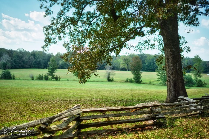 Sunken Road and field at Shiloh National Military Park