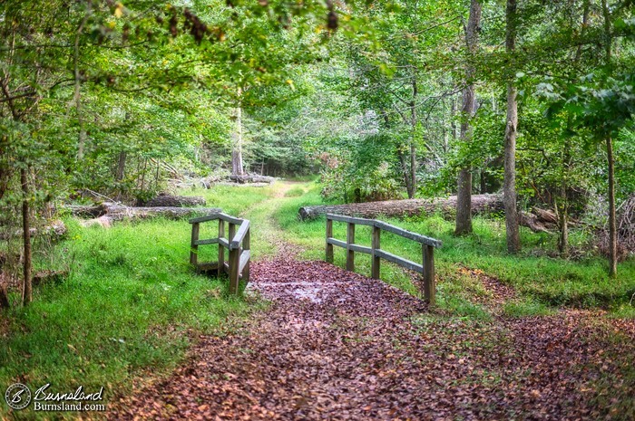 Bridge in the woods at Shiloh National Military Park