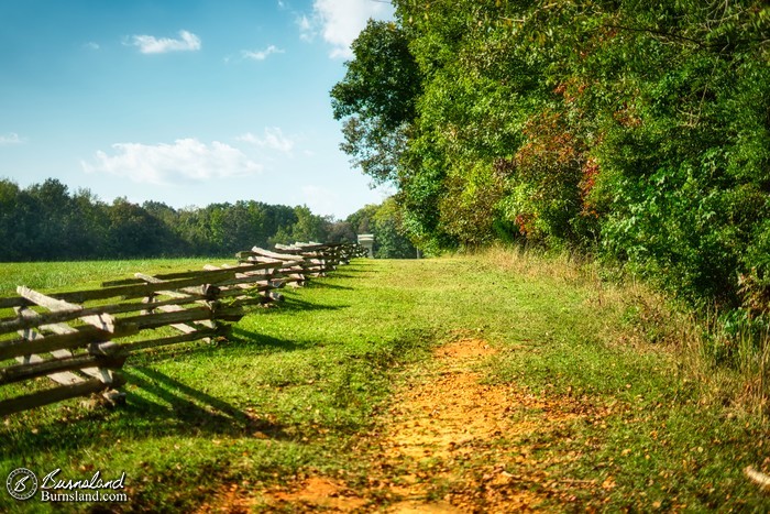 Sunken Road at Shiloh National Military Park