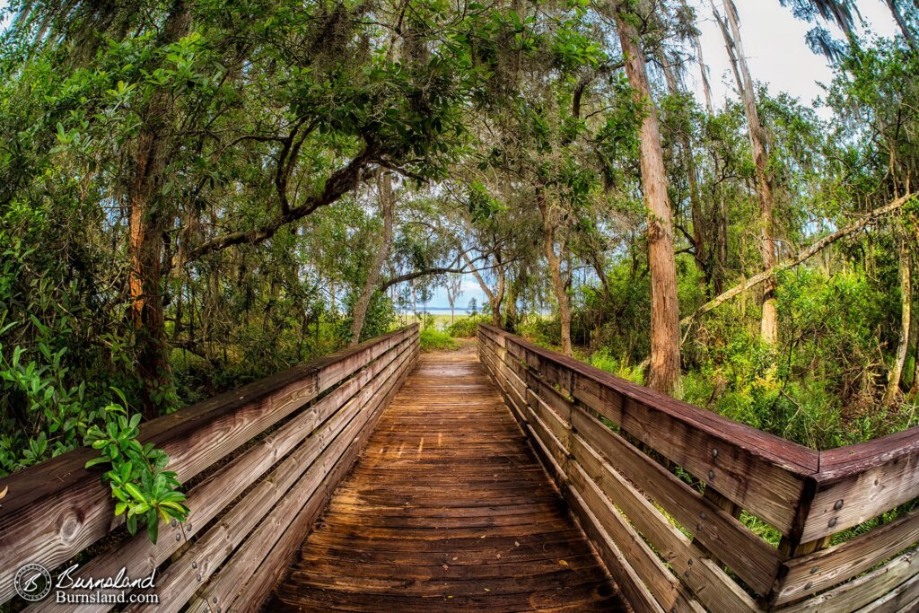 Lake Louisa State Park in Florida