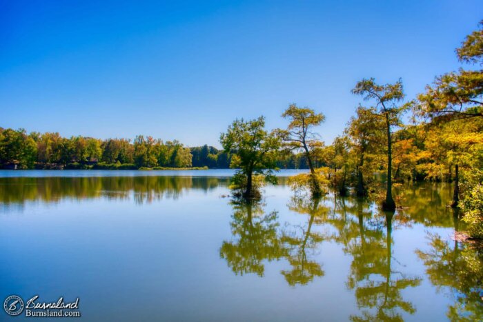 Trees are reflected in the still water of Spring Lake at Wall Doxey State Park in Mississippi.