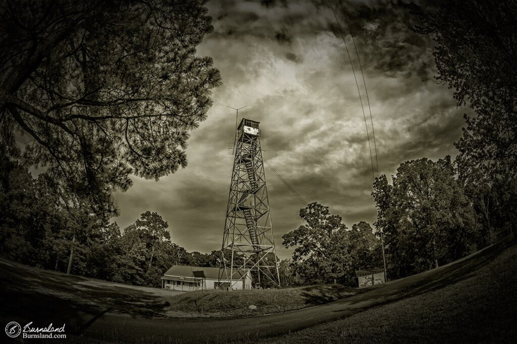 A forest watchtower stands among the trees at Natchez Trace State Park in Tennessee. Read all about it at Burnsland!