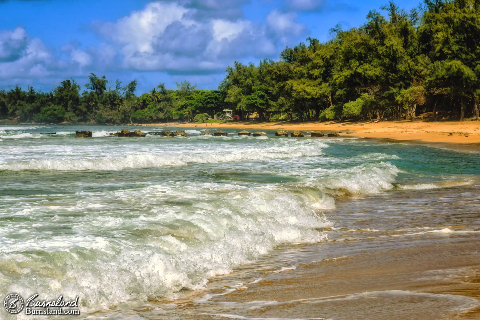 Waves on Anahola Beach in Kauaʻi