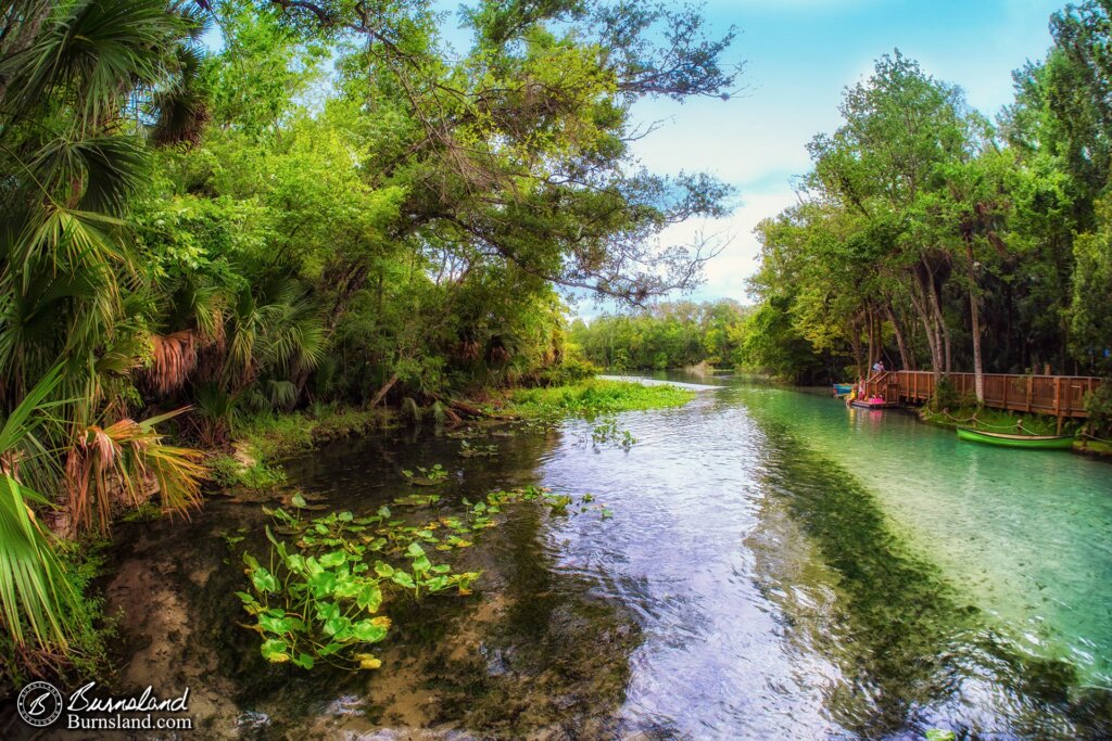 Wekiwa Springs State Park in Florida