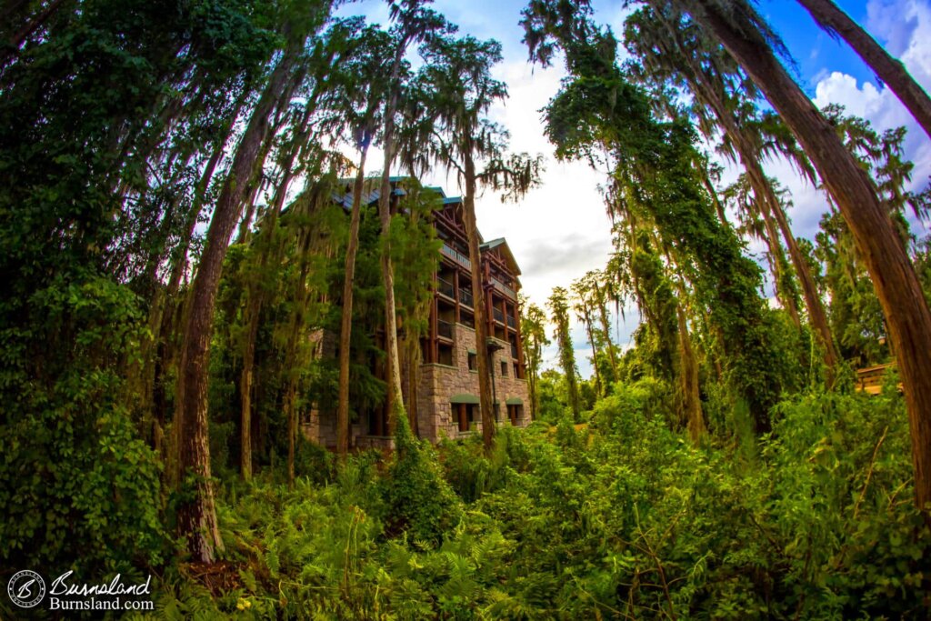 The Wilderness Lodge at Walt Disney World appears to actually be in the wilderness of Florida