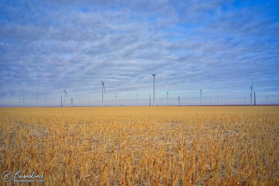 Wind turbines and wheat fields