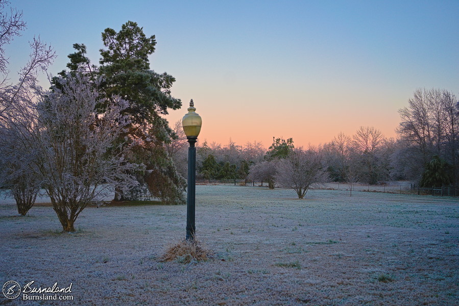 Winter ice in the front yard