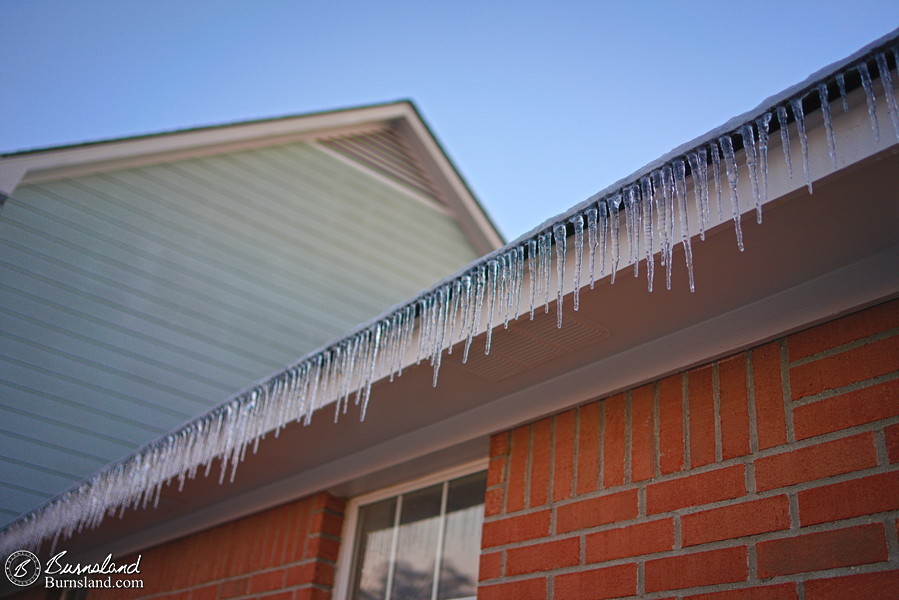 Icicles from the roof