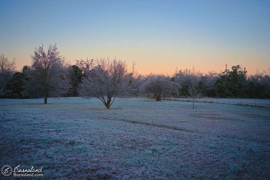 Icy front yard