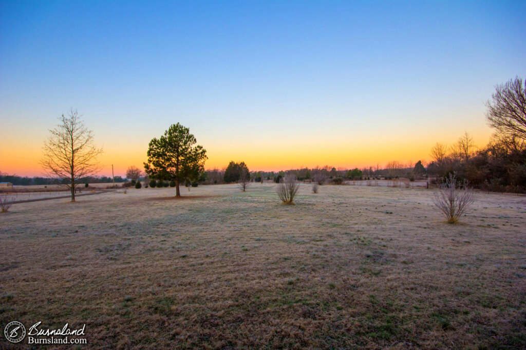 Winter Morning