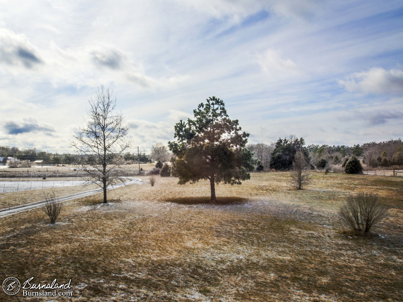 Winter Views