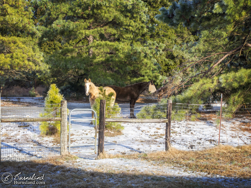 Winter Views