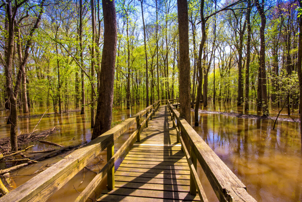 World of Water at Pinson Mounds State Park in Tennessee